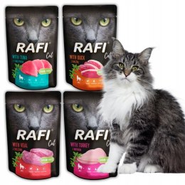 Rafi Cat Dolina Noteci Saszetki DLA KOTA 12x100g