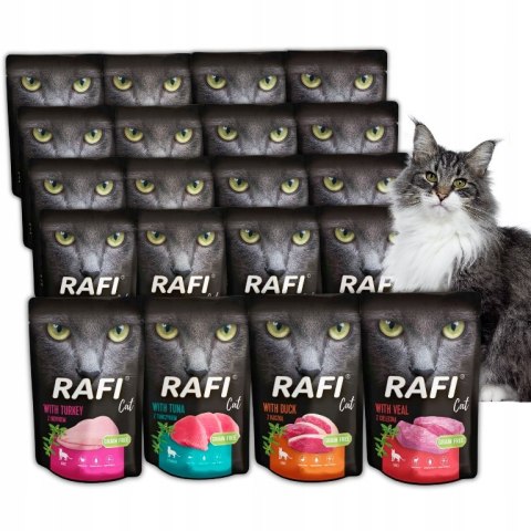 Rafi Cat Dolina Noteci Saszetki DLA KOTA 20x100g